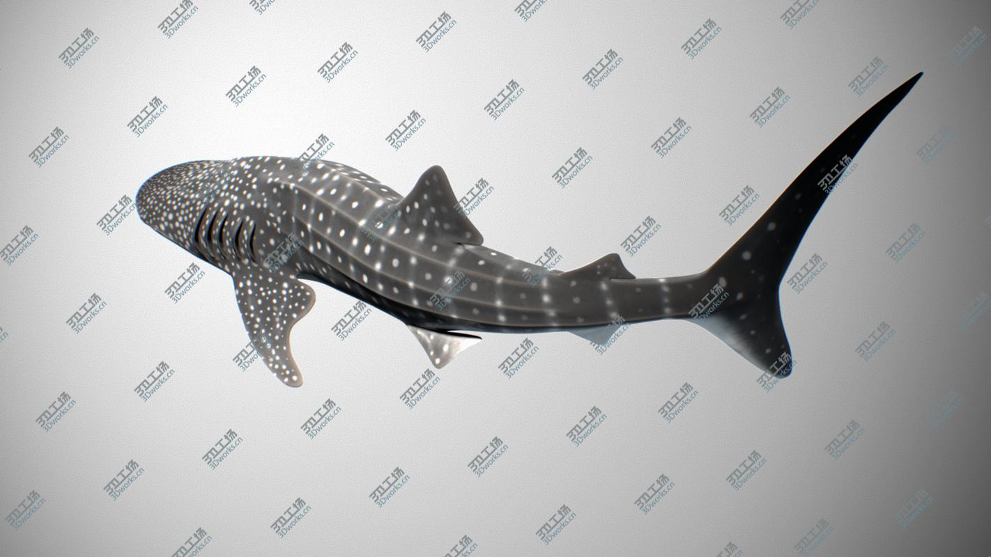 images/goods_img/2021040165/Whale Shark/3.jpg